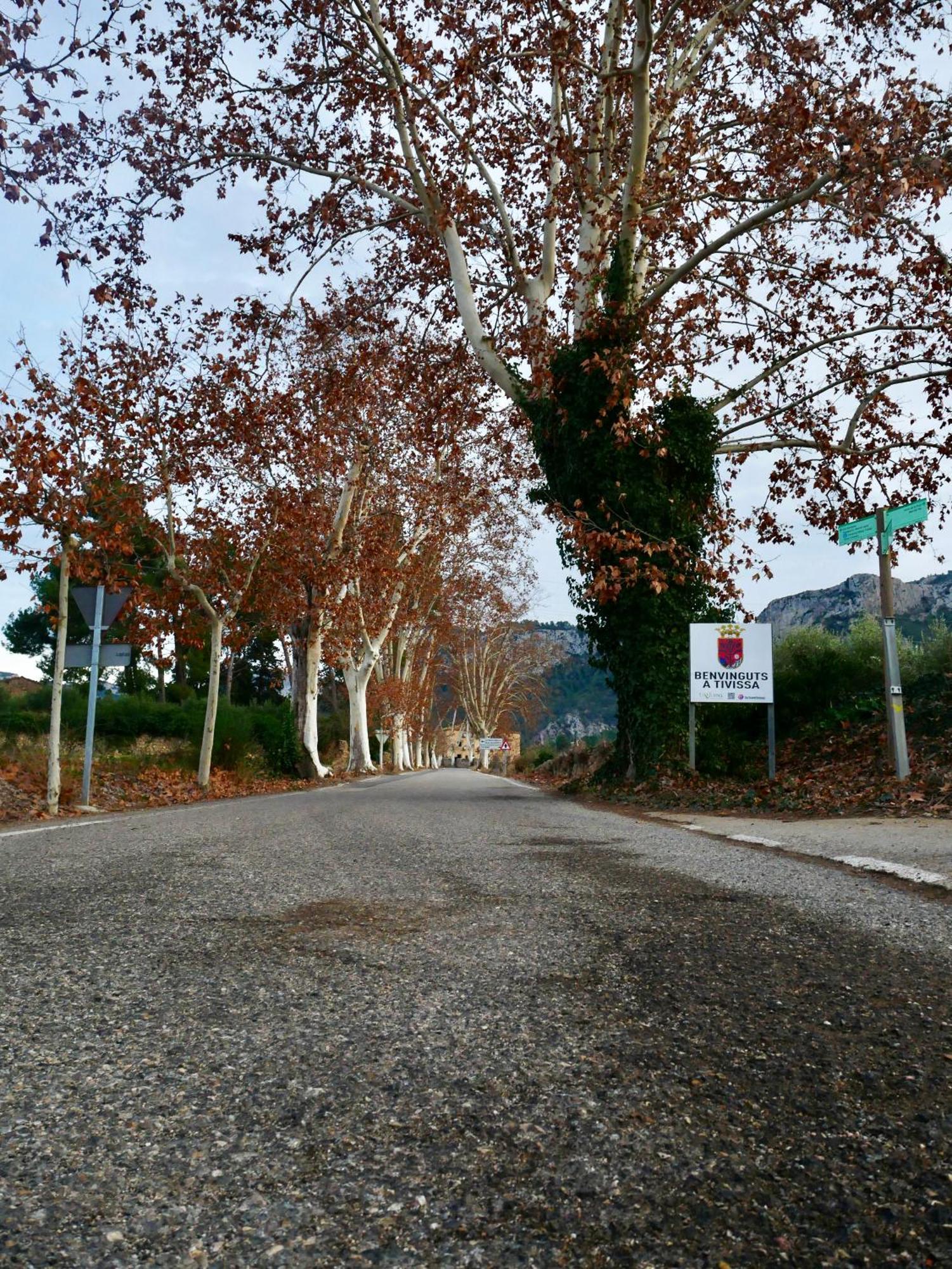 Apartament Rural Monetze Tivissa 외부 사진